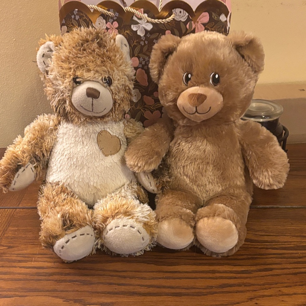 Build A Bear Adorable Brown and Cream Teddy Bear Set